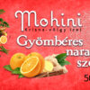 Narancsos gyömbér szörp - Image 2