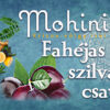 Fahéjas szilva csatni - Image 2