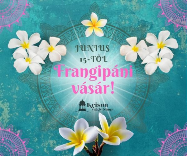 Frangipani (templomfa) - növény csemete