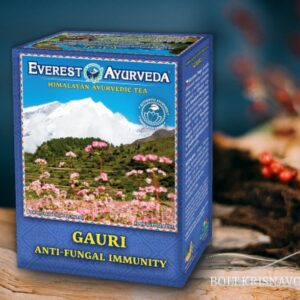 Gauri- gomba elleni gondoskodás teája