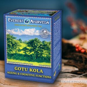 Gotu kola ayurvédikus tea- az agyfunkciók javítására